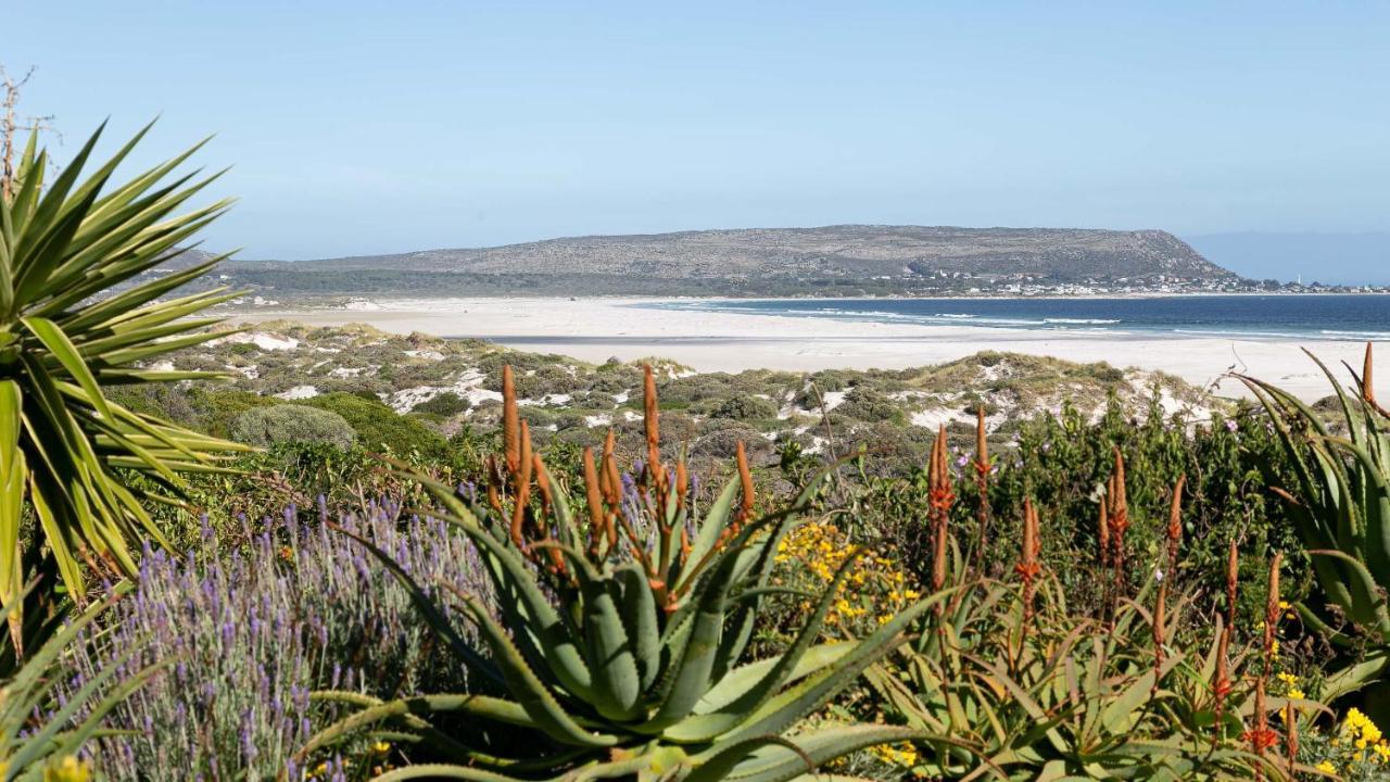 Villa Noordhoek Bliss Beach House Kapstadt Exterior foto